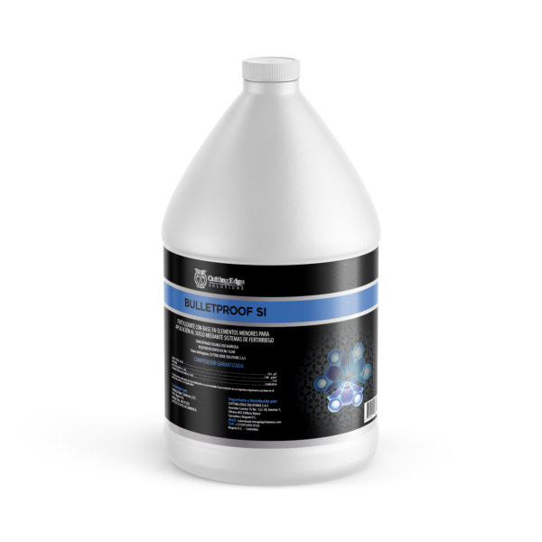BULLETPROOF SI - Imagen 2