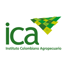 ica1